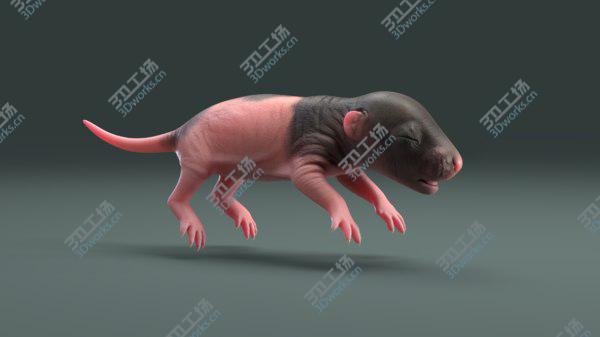 images/goods_img/20210312/Rat Baby Newborn Collection model/2.jpg